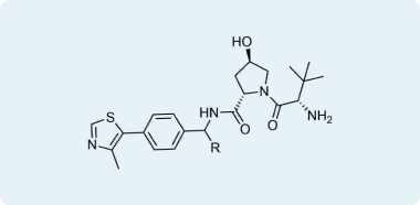 VHL ligands and ligands with linkers