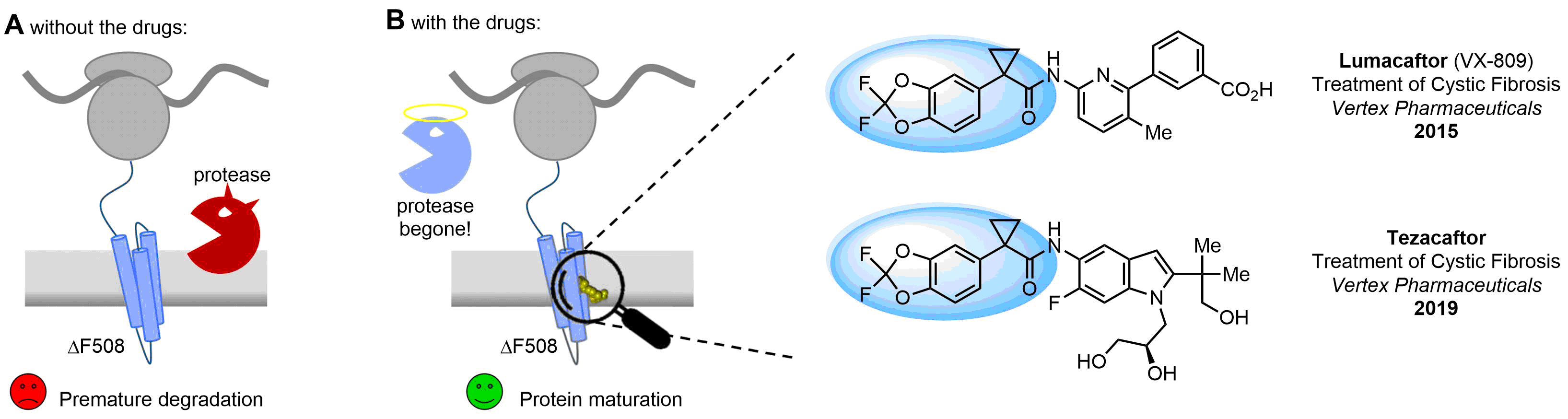 Fluorinated Benzodioxoles