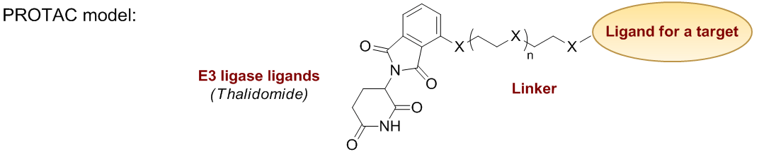 Building Blocks and Linkers for PROTAC Synthesis