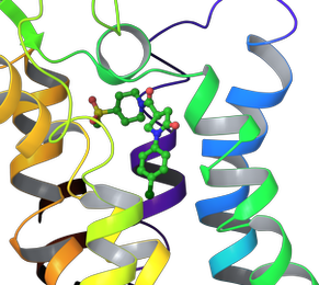 GPCRs_homology_modeling